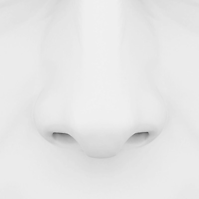 포토 JPG 해외이미지 얼굴 신체 해부 사람 사람없음 3D 회색 코 향기 냄새 만들기 해외202004 해외포토 컬러 의학 모션 신체부위 디지털합성 파일형식 이미지허브