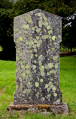 포토 JPG 해외이미지 자연 표시 이끼 사람없음 초록색 회색 젖음 골동품 무덤 숲 비석 묘사 질감 기념물 천연기념물 내추럴 곰팡이 옛날 화강암 해외202004 해외포토 컬러 암석 생태계 파일형식 이미지허브