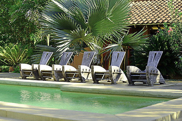 포토 JPG 해외이미지 의자 휴식 따뜻함 사람없음 야자수 맑음 침묵 당구 휴양지 해외202004 해외포토 나무 가구 컨셉 날씨 구기 소리 장소 파일형식 이미지허브