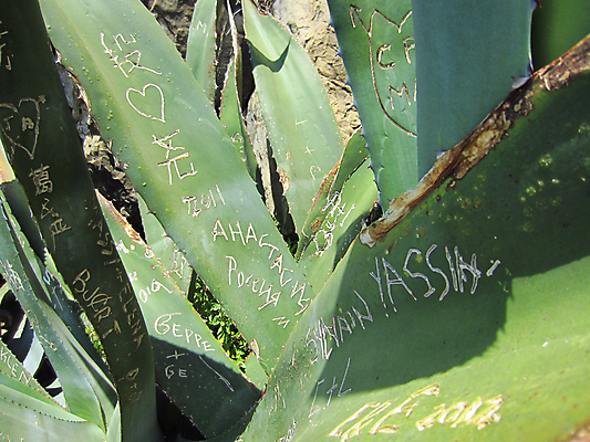 포토 JPG 해외이미지 유럽 바다 사람없음 컬러풀 마을 이탈리아 지중해 그림 해외202004 해외포토 나라 컬러 파일형식 이미지허브