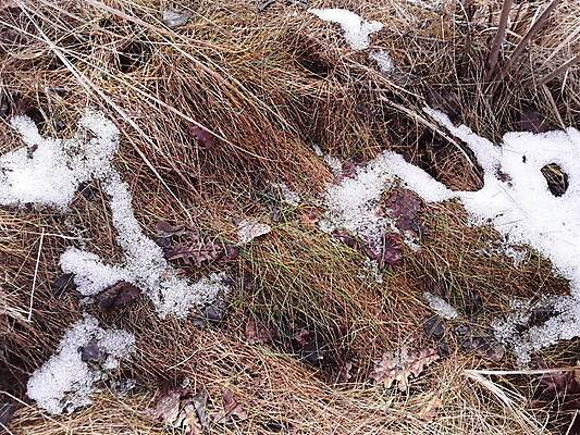 포토 JPG 해외이미지 디자인 백그라운드 크리스마스 겨울 패턴 자연 표면 추상 휴가 사람없음 야외 그래픽 장식 햇빛 갈색 추위 흰색 거친 질감 서리 내추럴 그런지 눈내림 해외202004 해외포토 계절 기념일 컬러 무늬 눈_날씨 태양 생태계 파일형식 이미지허브