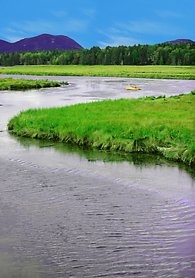 포토 JPG 해외이미지 나무 계절 호수 자연 산 풍경 사람없음 초록색 물 여름 강 평화 카약 민물 해외202004 해외포토 자연요소 식물 컬러 컨셉 수상스포츠 생태계 파일형식 이미지허브