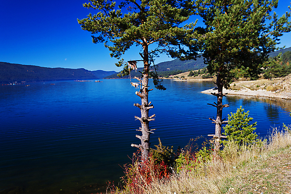 포토 JPG 해외이미지 나무 식물 호수 여행 백그라운드 패턴 자연 하늘 산 안테나 파노라마 갈대 풍경 사람없음 목재 초록색 물 여름 파란색 강 반사 쌓기 평화 힘 고요 에너지 시골 저수지 소나무 뜨거움 거친 숲 댐 통나무 나무껍질 연료 공학 잡동사니 내추럴 수력발전 수목 콘크리트 해외202004 해외포토 자연요소 계절 공공시설 교육 컬러 컨셉 무늬 재료 통신 모션 촬영기법 껍질 발전 생태계 수력에너지 파일형식 이미지허브