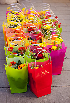 포토 JPG 해외이미지 식물 꽃잎 꽃 꽃다발 컨셉 꽃무늬 가방 자연 실내 발렌타인데이 선물 사람없음 빨간색 초록색 컬러풀 클래식 냄비 오브젝트 돌봄 해외202004 해외포토 잡화 컬러 무늬 모션 데이이벤트 내부 솥 생태계 파일형식 이미지허브