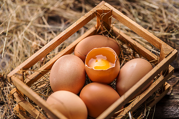 포토 JPG 해외이미지 음식 부활절 건강 사람없음 목재 농장 갈색 계란 시골 신선 그룹 볏짚 나무상자 유기농 날것 정사각형 노른자 밀짚 해외202004 해외포토 도형 나무 웰빙 기념일 컬러 농업 재료 상자 알 짚 파일형식 이미지허브