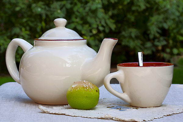 포토 JPG 해외이미지 라이프스타일 커플 꽃 행복 백그라운드 과일 자연 주전자 아침 휴가 휴식 주택 건강 사랑 풍경 사람없음 여름 빛 정원 아침식사 이슬 찻잔 속도 해외202004 해외포토 주간 식물 계절 감정 컨셉 관계 주방용품 잔 건물 생활 식사 생태계 파일형식 이미지허브