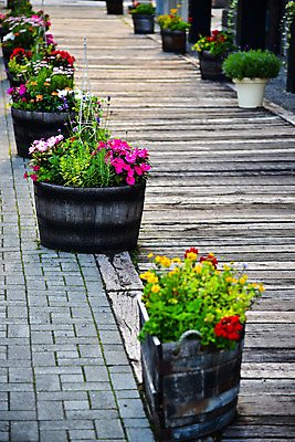 포토 JPG 해외이미지 식물 공원 꽃 화분 백그라운드 꽃무늬 자연 주택 풍경 사람없음 야외 목재 장식 초록색 여름 컬러풀 정원 봄 벚꽃 바위 개화 보행로 조경 뒤뜰 해외202004 해외포토 나무 계절 공공시설 길 컬러 무늬 재료 건물 돌_바위 생태계 파일형식 이미지허브