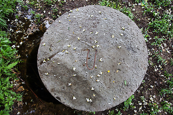 포토 JPG 해외이미지 접시 꽃 산업 사람없음 초록색 물 금속 흙 봄 젖음 덮개 뚜껑 도시 오픈 원형 구멍 고리 떨어짐 정상 위험 철 먼지 지하 무거움 부화 배수구 아카시아 땅바닥 콘크리트 하수 해외202004 해외포토 자연요소 도형 나무 식물 식기 계절 컬러 컨셉 재질 바닥 무게 파일형식 이미지허브