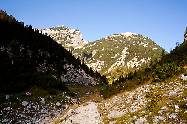 포토 JPG 해외이미지 나무 식물 외관 유럽 자연 하늘 휴가 산 풍경 사람없음 야외 목재 초록색 여름 빛 평화 정원 계곡 침묵 시골 알프스 장면 슬로베니아 해외202004 해외포토 계절 나라 컬러 컨셉 재료 소리 생태계 파일형식 이미지허브