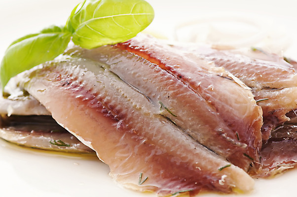 포토 JPG 해외이미지 접시 음식 바다 크리스마스 채소 양파 어류 사람없음 장식 가로 초록색 식당 식사 샐러드 고명 맛 상추 레몬 피클 단백질 딜 식품점 오메가 절임 청어 가문비나무 해외202004 해외포토 나무 식기 기념일 컬러 컨셉 과일 상점 수중동물 영양소 파일형식 이미지허브