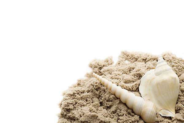 포토 JPG 해외이미지 별 모래 바다 백그라운드 컨셉 자연 불가사리 프레임 해변 사람없음 햇빛 껍질 흰색 산호 심볼 오브젝트 기념품 태평양 가리비 고립 해외202004 해외포토 자연요소 컬러 조개 극피동물 태양 자포동물 생태계 파일형식 이미지허브