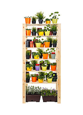 포토 JPG 해외이미지 식물 꽃 화초 꽃무늬 비즈니스 자연 선반 주택 실내 취미 사람없음 목재 초록색 상점 벚꽃 흰색 개화 시장 냄비 원예 고립 심기 원예사 타격 많음 해외202004 해외포토 나무 직업 컬러 가구 컨셉 무늬 재료 모션 내부 건물 솥 생태계 파일형식 이미지허브