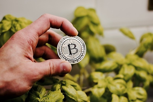 포토 JPG 해외이미지 돈 인터넷 비즈니스 안전 사람없음 금융 동전 저축 발굴 무역 보안 결제 가치 해외202004 해외포토 산업 경제 재산 파일형식 이미지허브