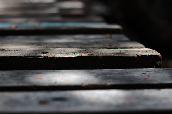 포토 JPG 해외이미지 나무 꽃 백그라운드 풍경 사람없음 야외 목재 빨간색 갈색 환경 산책 개울 순수 묘사 폐허 질감 깨짐 옛날 해외202004 해외포토 식물 컬러 컨셉 재료 휴식 강 파일형식 이미지허브