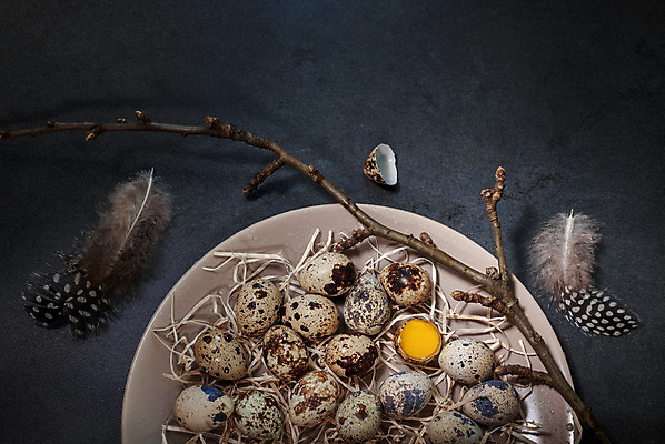 포토 JPG 해외이미지 동물 음식 백그라운드 패턴 자연 부활절 사람없음 목재 파란색 갈색 주방 계란 봄 수확 껍질 아침식사 정상 질감 날것 슛 메추리 많음 해외202004 해외포토 나무 계절 기념일 컬러 컨셉 무늬 농업 재료 알 식사 생태계 파일형식 이미지허브