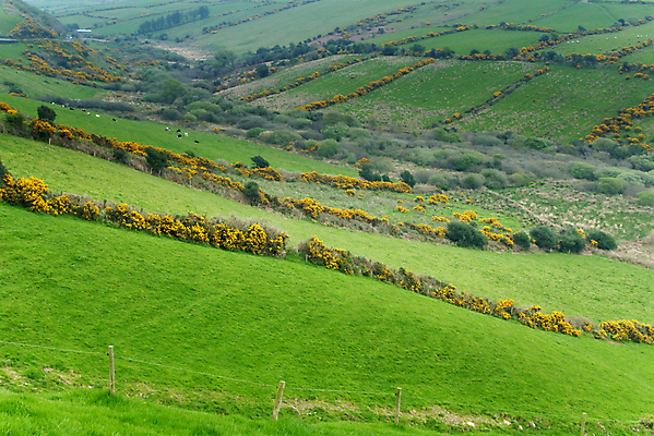 포토 JPG 해외이미지 구름 공원 호수 여행 백그라운드 밭 자연 하늘 날씨 산 풍경 사람없음 야외 초록색 파란색 침묵 활발 시골 언덕 장면 아일랜드 내추럴 공화국 수평선 해외202004 해외포토 자연요소 공공시설 유럽 나라 컬러 컨셉 농업 소리 생태계 파일형식 이미지허브