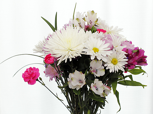 포토 JPG 해외이미지 꽃잎 꽃 줄기 꽃다발 잎 꽃무늬 창문 종류 사람없음 장식 초록색 컬러풀 보라색 벚꽃 직물 커튼 정상 얇은 해외202004 해외포토 식물 컬러 무늬 파일형식 이미지허브