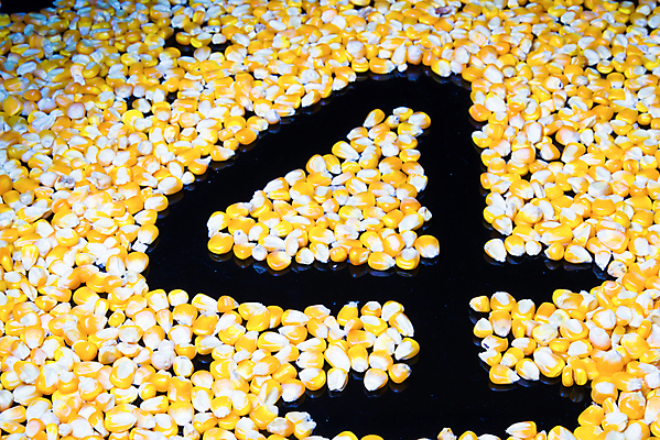 포토 JPG 해외이미지 음식 채소 건조 옥수수 씨앗 사람없음 목재 바구니 검은색 침묵 4 사발 생식 팝 해외202004 해외포토 나무 식물 컬러 재료 곡류 숫자 소리 사기그릇 파일형식 이미지허브