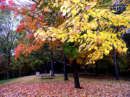 포토 JPG 해외이미지 계절 공원 도로 호수 오렌지 자연 하늘 산 오리 따뜻함 풍경 사람없음 초록색 여름 파란색 갈색 노란색 미국 화목 가을 난초 숲 통과 해외202004 해외포토 식물 공공시설 길 컬러 컨셉 북아메리카 과일 교통시설 조류 생태계 파일형식 이미지허브