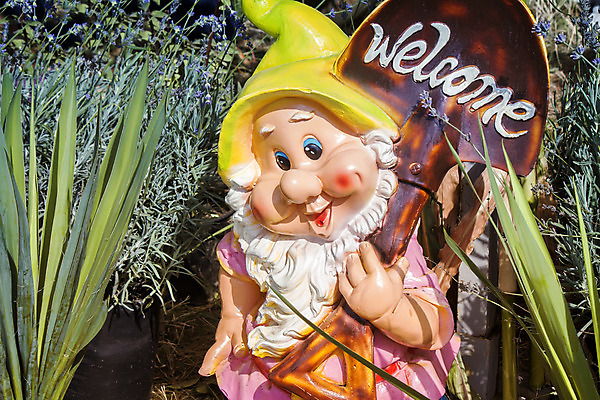 포토 JPG 해외이미지 꽃 잎 바지 수염 선물 미소 잔디 사람없음 정원 침대 삽 허브 기념품 초대 난쟁이 양치류 해외202004 해외포토 식물 가구 하의 표정 오브젝트 파일형식 이미지허브