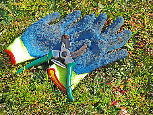 포토 JPG 해외이미지 식물 계절 꽃 장갑 백그라운드 잎 자연 안전 사람없음 초록색 여름 정원 봄 장비 가을 공구 업무 칼날 자르기 원예 돌봄 원예사 해외202004 해외포토 직업 잡화 컬러 모션 취미 도구 작업 생태계 파일형식 이미지허브