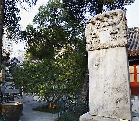 포토 JPG 해외이미지 전통 디자인 아시아 종교 여행 건축양식 동양인 사람없음 조각상 중국 골동품 기도 죽음 무덤 역사 이슬람교 비석 묘사 모스크 베이징 기념물 동쪽 천연기념물 옛날 해외202004 해외포토 건축 나라 인종 조형물 방향 파일형식 이미지허브