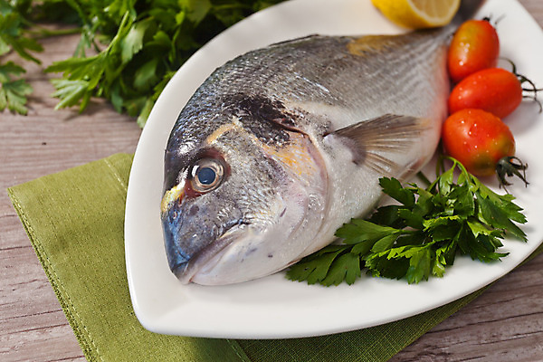 포토 JPG 해외이미지 접시 토마토 파슬리 사람없음 레몬 날것 도미 해외202004 해외포토 식기 채소 과일 어류 파일형식 이미지허브