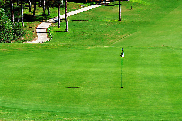 포토 JPG 해외이미지 나무 라이프스타일 유럽 스포츠 밭 골프 자연 놀이 휴가 건강 풍경 경기 잔디 사람없음 야외 초록색 여름 평화 경쟁 봄 게임 깃발 구멍 강의 땅 지중해 포르투갈 클럽 휴양지 슛 장면 주말 점수 내추럴 골프티 진행 페어웨이 해외202004 해외포토 식물 계절 나라 바다 컬러 컨셉 농업 골프용품 생활 구기 장소 생태계 파일형식 이미지허브