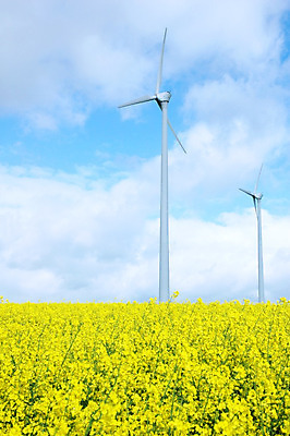 포토 JPG 해외이미지 구름 꽃 밭 바람 사람없음 여름 파란색 노란색 정원 힘 봄 풍차 발전기 에너지 기구 오브젝트 공학 모터 돌리기 해외202004 해외포토 자연요소 식물 계절 교육 컬러 농업 모션 날씨 발전소 파일형식 이미지허브