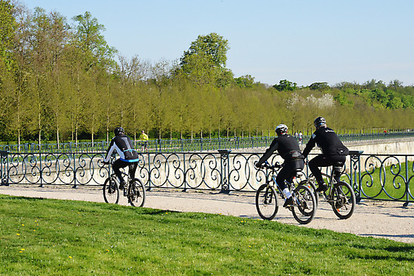 포토 JPG 해외이미지 나무 공원 유럽 스포츠 자연 사람없음 야외 초록색 정원 자전거 프랑스 시골 해외202004 해외포토 식물 공공시설 나라 컬러 바이크 생태계 파일형식 이미지허브