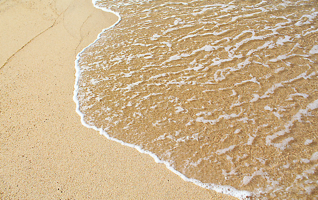 포토 JPG 해외이미지 물결 모래 파도 바다 자연 조류 표면 풍경 해변 사람없음 물 여름 빛 모래사장 햇빛 반사 침묵 젖음 흐름 만 뜨거움 투명 액체 서핑 떨어짐 매끈함 웨이브 남쪽 석호 깊이 해외202004 해외포토 자연요소 동물 계절 컨셉 태양 소리 수상스포츠 감각 방향 생태계 파일형식 이미지허브