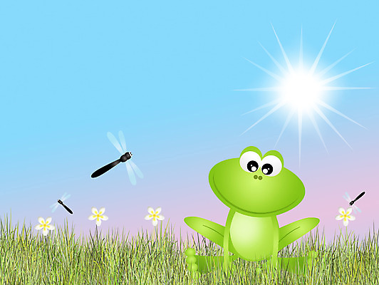 포토 JPG 해외이미지 동물 곤충 일러스트 자연 개구리 양서류 사람없음 초록색 물 연못 잠자리 만화 엽서 해외202004 해외포토 자연요소 컬러 편지 생태계 파일형식 이미지허브