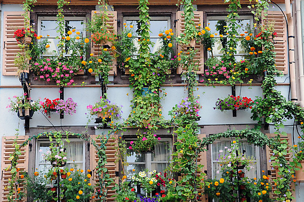 포토 JPG 해외이미지 주택 풍경 사람없음 건물 관광지 프랑스 역사 옛날 해외202004 해외포토 건축물 유럽 여행 파일형식 이미지허브
