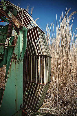 포토 JPG 해외이미지 식물 계절 산업 음식 밭 농업 교통시설 자연 하늘 옥수수 풍경 사람없음 야외 세로 여름 농작물 태양 농장 환경 기계 봄 수확 성장 가을 시골 신선 업무 닫기 땅 시리얼 묘사 부식 트랙터 짐차 밭일 옛날 자동화 세련 해외202004 해외포토 자연요소 교통 모션 자동차 곡류 작업 농기계 시설 생태계 특수차량 파일형식 이미지허브