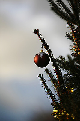 포토 JPG 해외이미지 나무 전통 계절 크리스마스 겨울 공 놀이 휴가 선물 사람없음 빨간색 산타클로스 축하 12월 해외202004 해외포토 식물 기념일 컬러 컨셉 날짜 파일형식 이미지허브