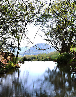 포토 JPG 해외이미지 나무 계절 공원 아시아 여행 백그라운드 잎 모션 태국 자연 벽지 산 풍경 사람없음 야외 초록색 물 여름 강 평화 환경 맑음 봄 폭포 젖음 흐름 자유 가을 바위 신선 개울 떨어짐 정상 숲 속도 장면 내추럴 무료 해외202004 해외포토 자연요소 식물 공공시설 나라 컬러 컨셉 날씨 돌_바위 생태계 파일형식 이미지허브