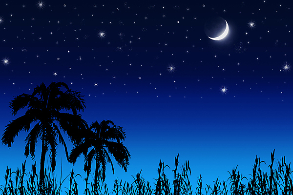 포토 JPG 해외이미지 나무 실루엣 별 과학 백그라운드 자연 하늘 표면 날씨 추상 풍경 사람없음 빛 우주 어둠 행성 인공위성 달 야간 초승달 신비 달빛 가득함 코스모스 순환 은하계 점성술 코코넛 충격 시스템 천문학 궤도 천국 운석 여의주 해외202004 해외포토 자연요소 식물 교육 꽃 컨셉 무늬 과일 통신 모션 촬영기법 생태계 파일형식 이미지허브