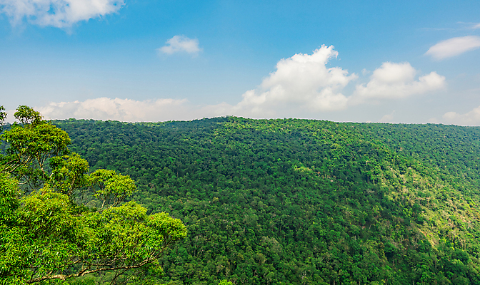 포토 JPG 해외이미지 나무 구름 공원 여행 백그라운드 태국 자연 벽지 하늘 휴가 산 국립공원 풍경 사람없음 야외 초록색 여름 파란색 빛 태양 환경 흰색 정상 숲 열대우림 땅 고도 장면 상록수 내추럴 생태학 그리너리 해외202004 해외포토 자연요소 식물 계절 공공시설 교육 아시아 컬러 생태계 파일형식 트랜드컬러 이미지허브