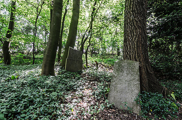 포토 JPG 해외이미지 꽃 기독교 종교 지구 백그라운드 십자가 부활절 사람없음 목재 조각상 검은색 성경 바위 기도 죽음 예수 영혼 목사 심볼 애도 신성 땅파기 신앙심 옛날 장례식 오싹 해외202004 해외포토 나무 식물 기념일 컬러 재료 종교용품 조형물 신_종교 성직자 파일형식 이미지허브