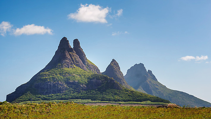 포토 JPG 해외이미지 식물 산업 섬 여행 밭 아프리카 자연 하늘 산 풍경 사람없음 야외 초록색 파란색 태양 농장 환경 성장 시골 유기농 장면 낙타 모리셔스 생태학 카피스페이스 해외202004 해외포토 자연요소 웰빙 교육 나라 컬러 농업 포유류 공백 생태계 파일형식 이미지허브