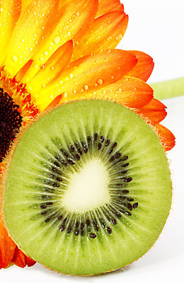 포토 JPG 해외이미지 행복 오렌지 과일 건강 키위 사람없음 초록색 여름 빛 봄 물방울 신선 순수 데이지 해외202004 해외포토 계절 꽃 감정 컬러 컨셉 파일형식 이미지허브