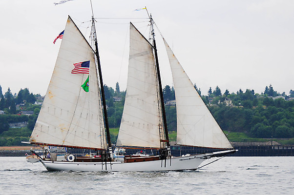 포토 JPG 해외이미지 스포츠 파도 바다 요트 교통시설 바람 항해 사람없음 야외 물 기쁨 보트 고급 돛 함선 선원 해외202004 해외포토 자연요소 감정 교통 컨셉 배_교통 날씨 시설 파일형식 이미지허브