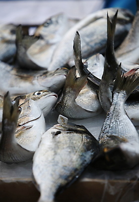 포토 JPG 해외이미지 유럽 사람 사람없음 이탈리아 도시 시장 해외202004 해외포토 나라 파일형식 이미지허브