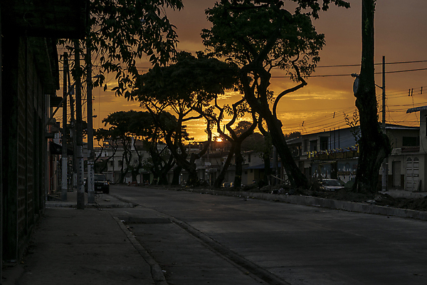 포토 JPG 해외이미지 나무 실루엣 길 잎 오렌지 건축양식 교실 하늘 거리 주택 사람없음 건물 도시풍경 일출 검은색 일몰 새벽 도시 남아메리카 도심 중앙 아스팔트 지역 에콰도르 타운 이웃 해외202004 해외포토 자연요소 식물 건축물 교육 건축 도로 컬러 과일 학교 촬영기법 아메리카 풍경 노을 파일형식 이미지허브