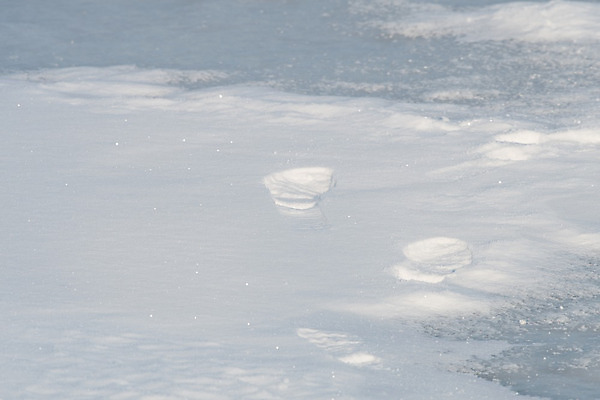 포토 JPG 해외이미지 계절 길 신발 표시 안전 사람없음 야외 달리기 얼음 침묵 신선 고독 위험 발자국 개성 바둑 단계 폭설 해외202004 해외포토 자연요소 감정 컨셉 자국 모션 놀이 눈_날씨 소리 자연재해 파일형식 이미지허브