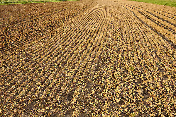 포토 JPG 해외이미지 계절 지구 선 음식 백그라운드 패턴 밭 농업 자연 표시 풍경 사람없음 초록색 농장 갈색 우주 흙 봄 시골 신선 땅 만취 뿌리기 질감 지역 대칭 땅바닥 밭일 쟁기 줄서기 직진 평야 세련 해외202004 해외포토 산업 컬러 무늬 모션 바닥 생태계 술취함 파일형식 이미지허브