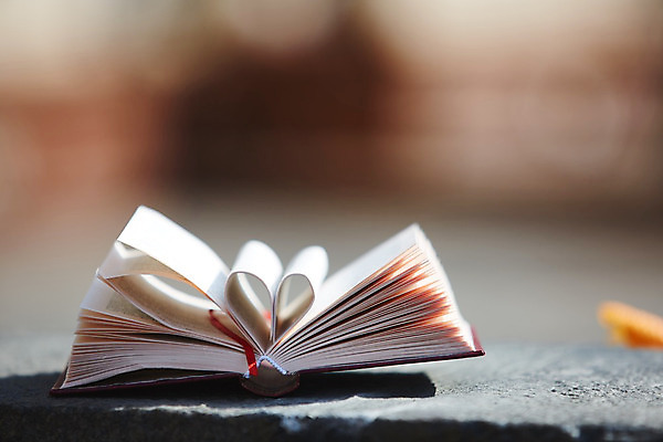 포토 JPG 해외이미지 모양 디자인 교육 종이 백그라운드 컨셉 곡선 텍스트 자연 추상 발렌타인데이 사랑 미술 사람없음 야외 장식 책 빛 스터디 독서 성경 힘 수확 흰색 하트 오픈 도서관 소프트포커스 심볼 읽기 문학 페이지 감탄 구성 옛날 지능 출판 스타일 해외202004 해외포토 감정 선 컬러 무늬 농업 종교용품 모션 데이이벤트 문화예술 촬영기법 학습 생태계 파일형식 이미지허브