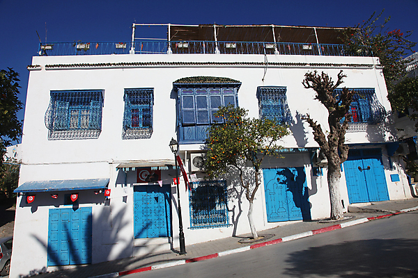 포토 JPG 해외이미지 식물 벽 건축양식 아프리카 지붕 주택 풍경 사람없음 야외 건물 장식 파란색 컬러풀 문 계단 활발 흰색 도시 지중해 단계 아랍어 튀니지 해외202004 해외포토 건축물 건축 나라 바다 컬러 컨셉 파일형식 이미지허브