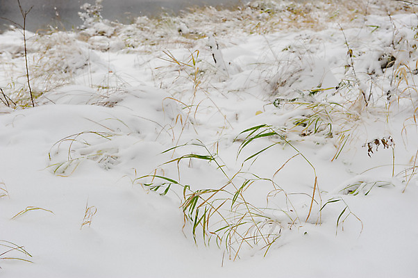 포토 JPG 해외이미지 계절 공원 백그라운드 겨울 밭 오렌지 자연 표면 날씨 풍경 사람없음 야외 빛 얼음 침묵 추위 가을 흰색 신선 황무지 서리 장면 북쪽 눈보라 내추럴 지질학 처음 파스텔톤 눈내림 해외202004 해외포토 자연요소 공공시설 교육 컬러 농업 과일 눈_날씨 소리 방향 생태계 파일형식 이미지허브