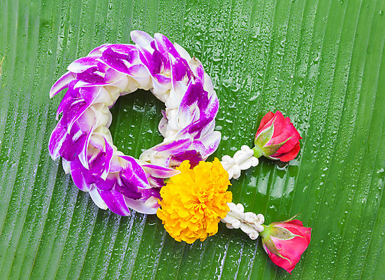 포토 JPG 해외이미지 식물 전통 디자인 꽃 아시아 종교 문화 여행 백그라운드 꽃무늬 불교 태국 자연 발렌타인데이 사랑 미술 사람없음 장식 화환 벚꽃 축하 인사 신선 원형 심볼 묘사 오브젝트 사인 싱글 명예 존경 해외202004 해외포토 도형 감정 나라 컨셉 무늬 데이이벤트 문화예술 예절 생태계 파일형식 이미지허브